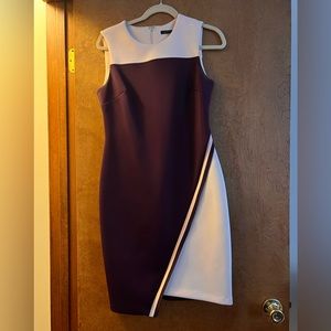 Tommy Hilfiger Purple and Pink Sheath Dress with Asymmetrical Hem Size 8